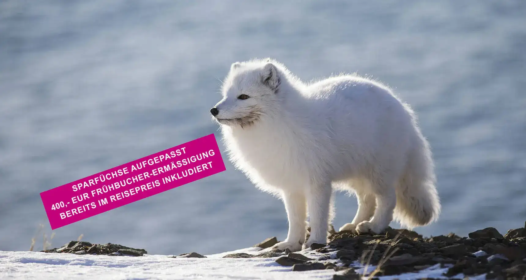 Nord-Spitzbergen