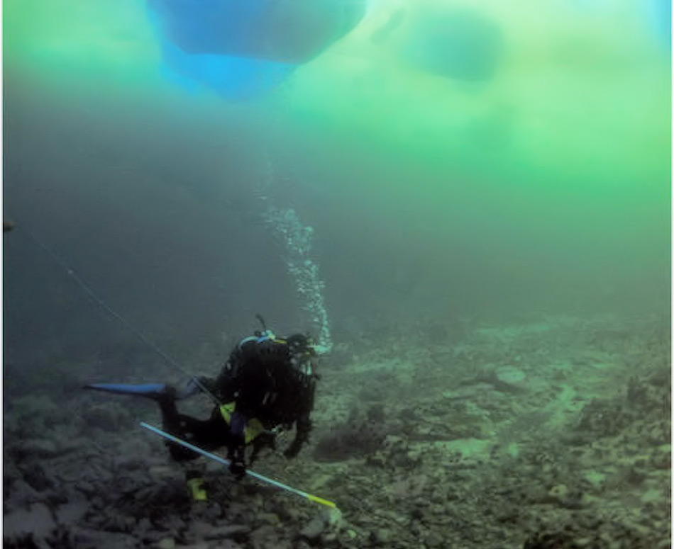 Mit Hilfe von Tauchgängen und Unterwasserfahrzeugen können sowohl in der Arktis wie auch in der Antarktis die Meeresböden erforscht werden. Dabei kommen auch immer wieder neue Lebensformen ans Tageslicht. Bild: BAS