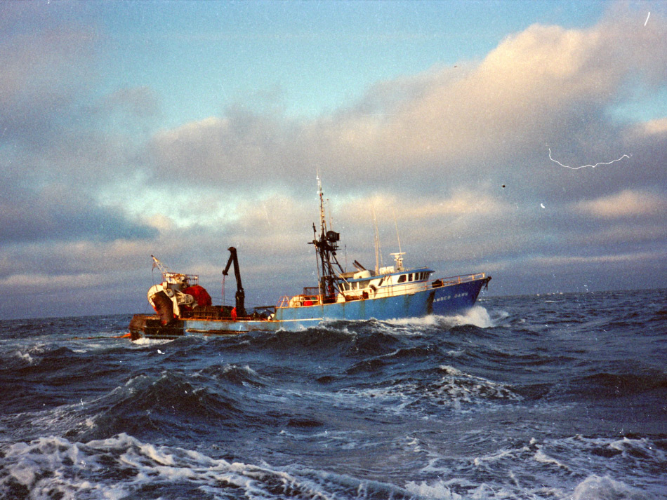 Die Beringstrasse war einst ein ausgezeichnetes Fischfanggebiet, zuerst für Köhler, jetzt für Königskrabben und Jakobsmuscheln. Doch aufgrund von Gewinnmaximierung hatten viele Gesellschaften schlecht ausgerüstete oder veraltete Schiffe in das Gebiet geschickt, was zu vermehrten Unfällen und sogar Todesfällen geführt hatte. Bild: W. Good