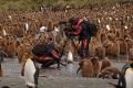 Quark Expeditions – ein zuverlässiger Partner?