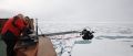 PolarNEWS Filmteam erneut am Nordpol