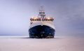 Die „Polarstern“ ist der Forschungseisbrecher im Dienst des Alfred-Wegener-Instituts (AWI) und